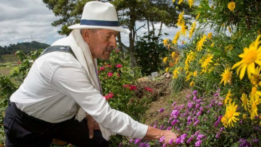 Medellín: Flower Farm & Silletero History Tour - Silleteros: the Flower Festival story you can actually picture