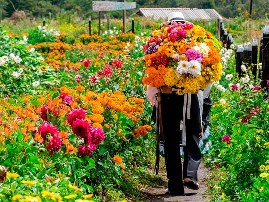 Medellín: Flower Farm & Silletero History Tour - Getting out of Medellín: fast countryside views without the hassle