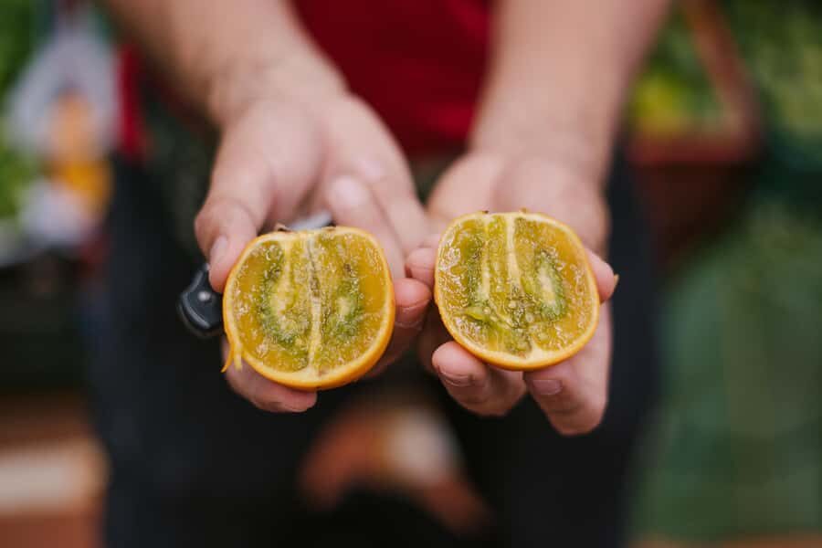 Medellín: Guided Exotic Fruits Tour - A realistic look at timing and walking