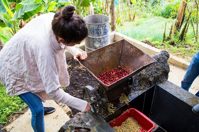 Medellin Horse ride coffee tour and spa - Don Leandro Coffee Farm: the tour stops that make it feel real