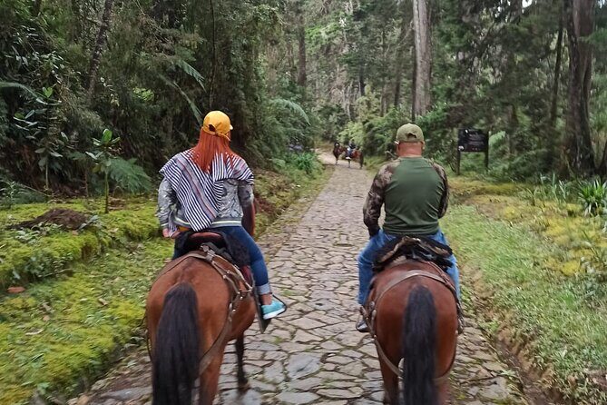 Medellin Horse ride coffee tour and spa - Who this Medellín horse ride and coffee spa fits best