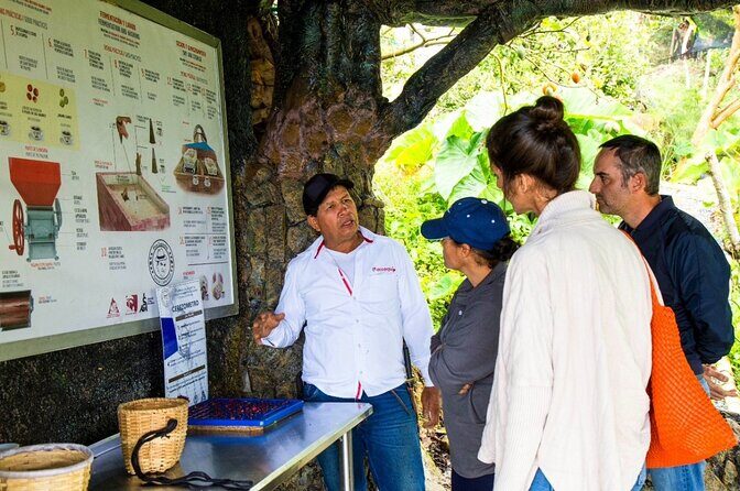 Medellin Horse ride coffee tour and spa - 45 minutes on the muleteer path: what the horseback ride is really like