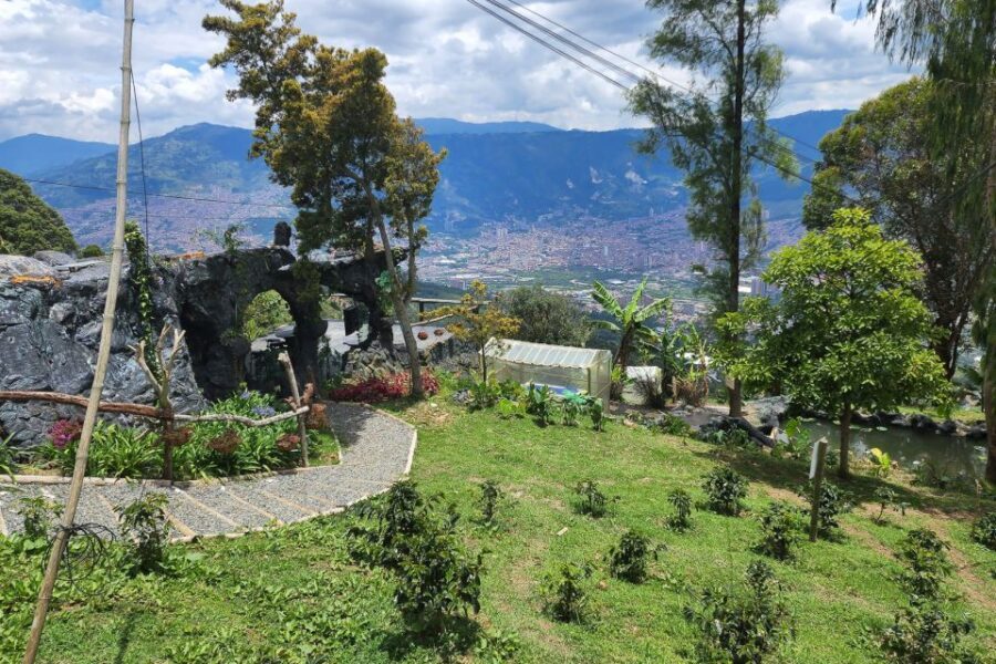Medellin: Horseback Riding Coffee Farm Tour with Coffee Spa - Don Leandro coffee farm tour: cultivation, harvesting, processing, and your own tree