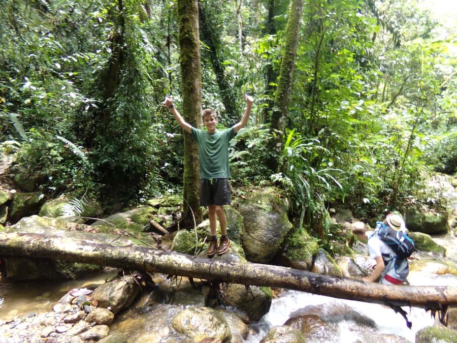 Medellín: Nature Experience & Waterfall-Hike - From Medellín’s hills to Andean cloud forest in one short afternoon