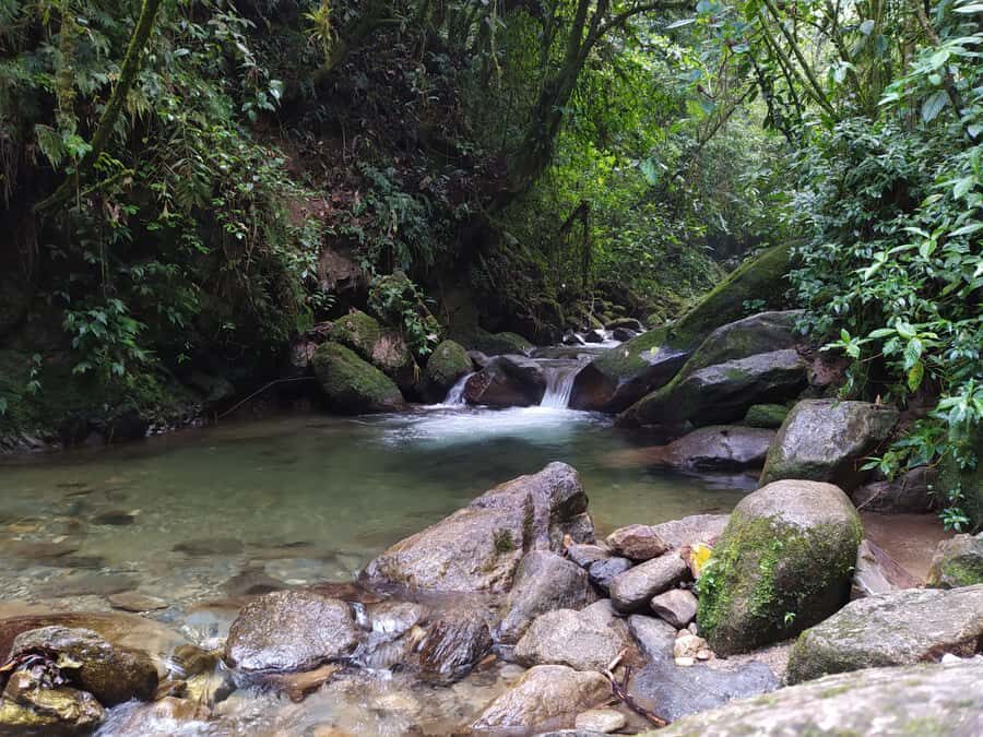 Medellín: Nature Experience & Waterfall-Hike - La Miel waterfall time: why you should treat it as more than a stop