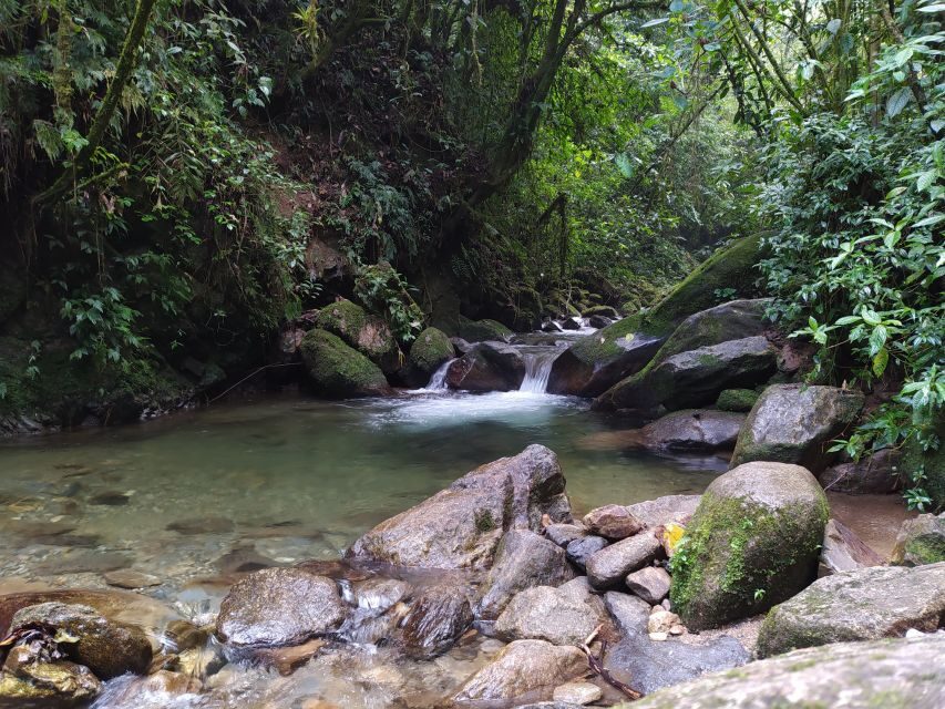 Medellín: Nature Experience & Waterfall-Hike - Price and timing: why $139 for 4 hours can feel like good value