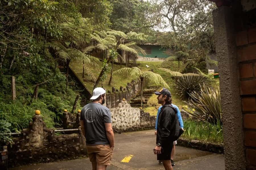 Medellin: Pablo Escobar, Dark Times & the New Medellin Tour - Guides make the difference: Andrés, Luis Fernando, and Luis