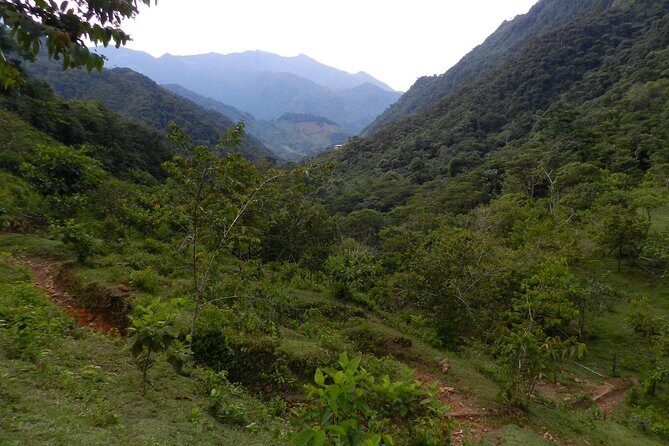 Medellín: Trekking Ríos de Cristal - Who this trek is best for (and who should skip it)
