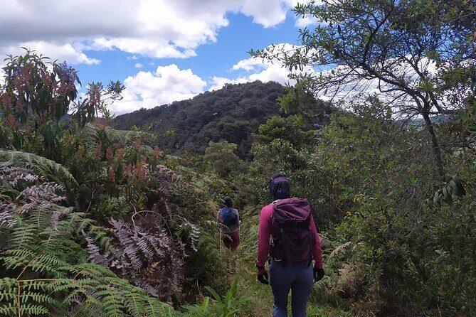 Medellín Viewpoints Hike - Santa Mónica finish: ending where the city feels real