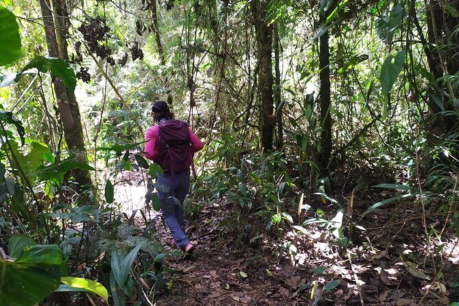 Medellín Viewpoints Hike - Private transport and small groups: the real value behind $108