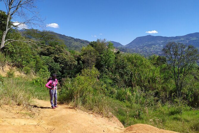 Medellín Viewpoints Hike - Through Thick Forest to Piedra Galana: the best Medellín viewpoint stretch