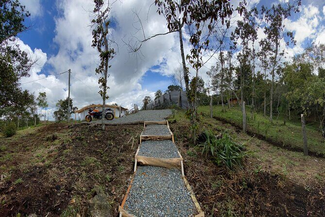 Nature Exploration and Healing Sounds in Santa Elena - The adaptogen mushroom element: a thoughtful plant-based twist