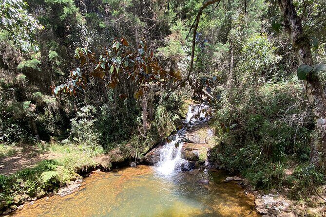 Nature Exploration and Healing Sounds in Santa Elena - Who should book this Santa Elena sound and nature experience