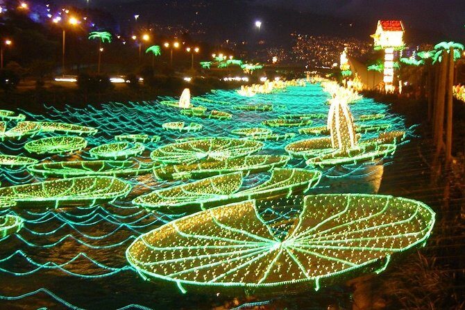 Private Christmas Lights Tour in Medellin - What Makes Medellín’s Christmas Lights Worth a Night Out