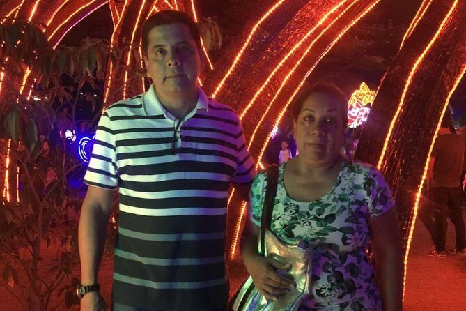 Private Christmas Lights Tour in Medellin - Hotel Pickup at 7:00 pm: Why This Format Is Easier Than DIY