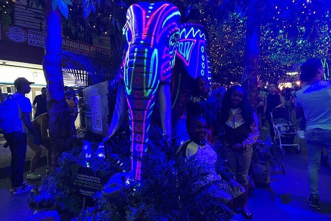 Private Christmas Lights Tour in Medellín! - Only Holiday Season! - Medellín’s Christmas Lights, on a Short Private Route