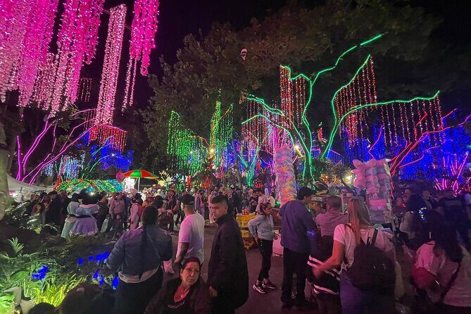 Private Christmas Lights Tour in Medellín! - Only Holiday Season! - Price, Timing, and What $65 Actually Buys You