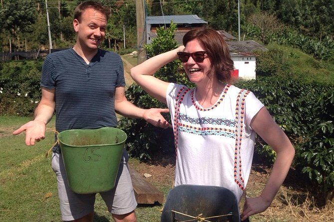 Private Full-Day Coffee Tour to Palmitas farm near Medellín - Key highlights worth planning around