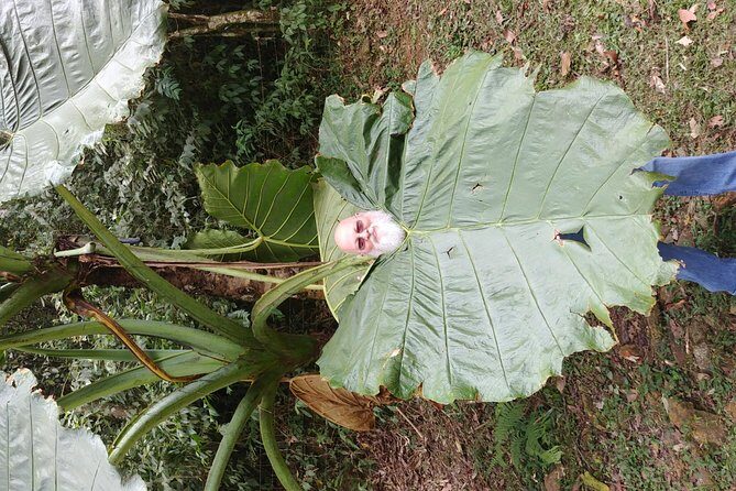Private Full Day El Retiro Waterfall Tour Including Food from Medellín - Price and value: is $115 per person fair for this setup?