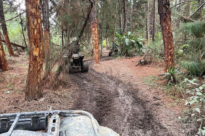 Private Half-Day ATVs Off-Road Tour at Medellín's Countryside!! - Price and value: what $150 gets you in the real world