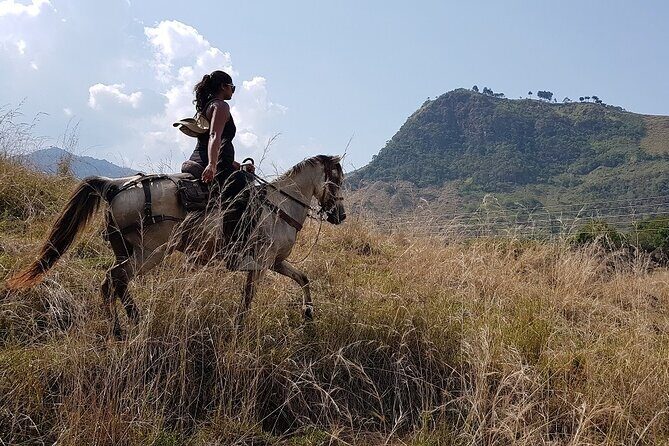 Private Horseback Riding Tour around Cattle Ranch from Medellin - The Morning Plan: Early Pickup, A/C Comfort, and Getting Out There