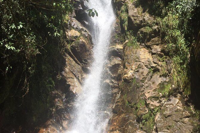 Private Tour: La Miel Magnificent Natural Reserve Hike - Refreshments and comfort: the small things that keep you enjoying the day