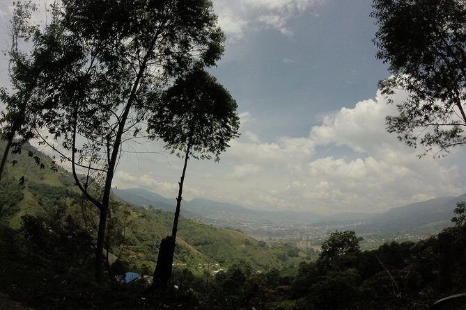 Private Tour: La Miel Magnificent Natural Reserve Hike - Who this hike fits best (and who should plan differently)