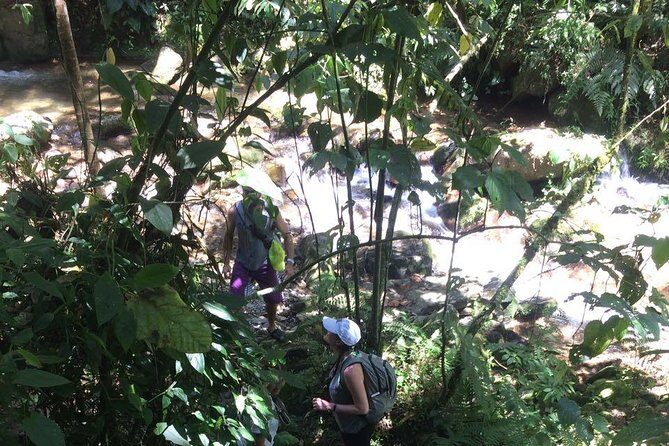 Private Tour: La Miel Magnificent Natural Reserve Hike - Practical tips to help your day go smoothly