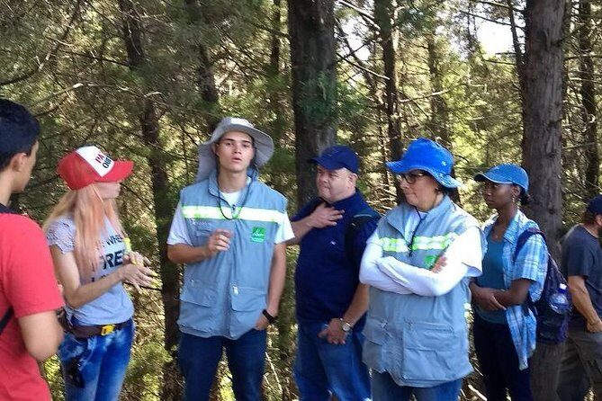 Private Tour: La Miel Magnificent Natural Reserve Hike - Salto del Angel: where the hike pays off