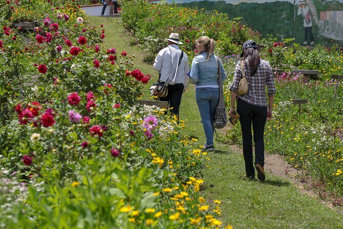 Private tour: Medellin's Flower Culture & The Silletero Tradition of Santa Elena - Should you book this Santa Elena flower culture tour?