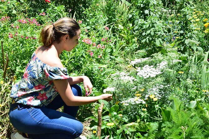 Private tour: Medellin's Flower Culture & The Silletero Tradition of Santa Elena - Stop 2: A traditional small-scale flower farm and the Silletero tradition
