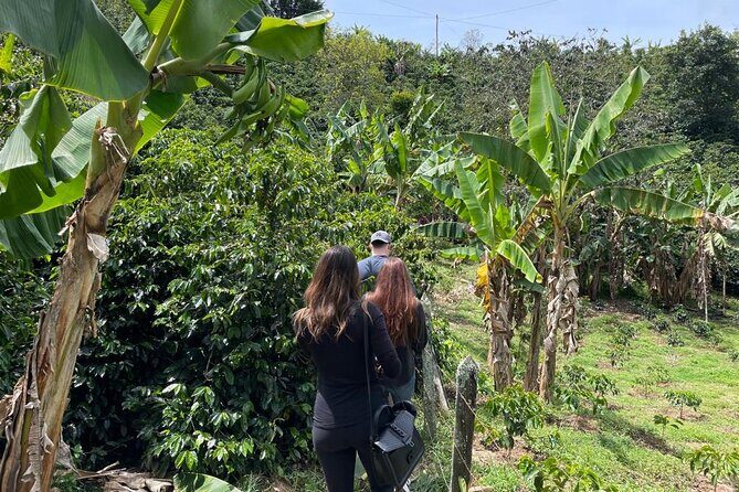 Private Tour to Guatapé & Coffee Farm from Medellín! - The road start: El Alto del Chocho, Pan de Queso, and the longest tunnel moment