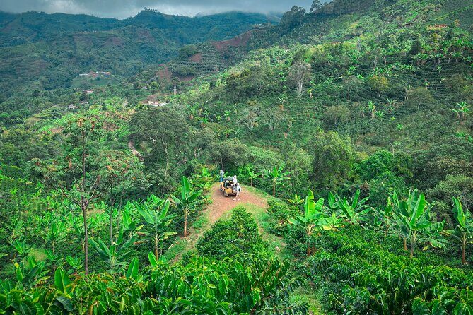 Private Tour to Jardín Town, Waterfalls, Coffee & Culture! - Who This Tour Suits Best (and Who Should Rethink It)