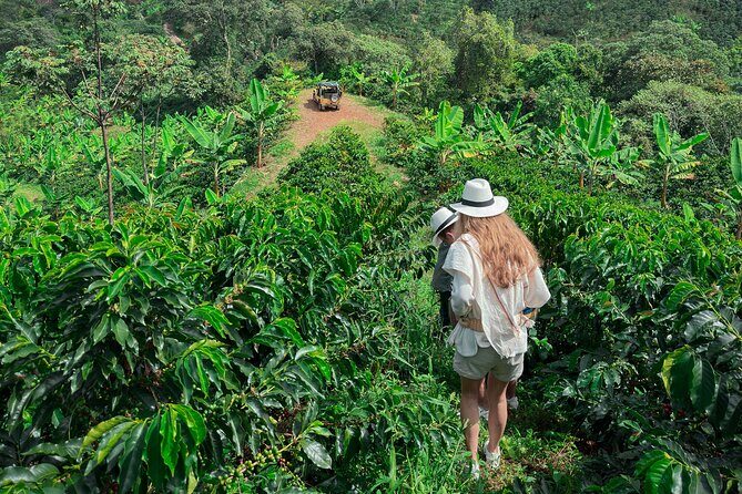 Private Tour to Jardín Town, Waterfalls, Coffee & Culture! - Willy’s Jeep Adventure to the Andes Waterfalls (Coffee First, Then the Hike)
