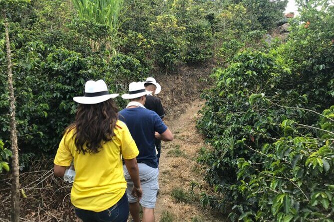 Private Tour to Santa Fe de Antioquia Town & Coffee Farm. - Guides and the private experience: why Diego’s name matters