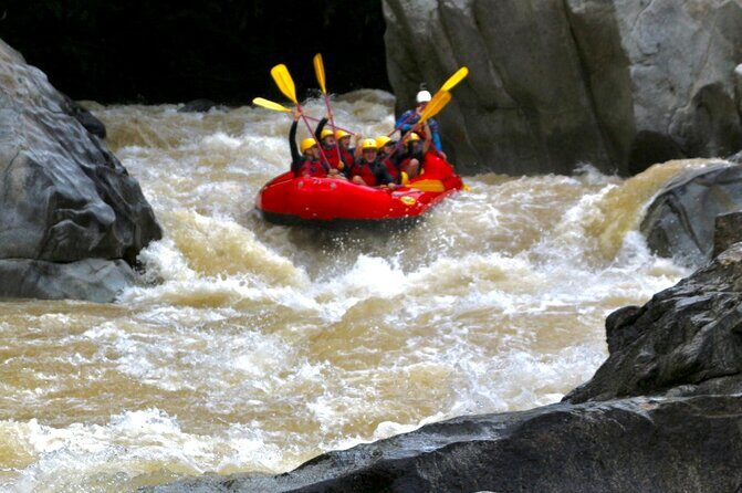 RAFTING with exciting rapids from MEDELLÍN - The peasant farm stop: coffee and tropical fruits that feel real