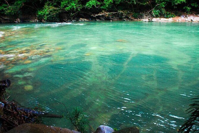 Rio Claro Full Rafting Tour from Medellin with Lunch - Breakfast, lunch, and keeping your energy up