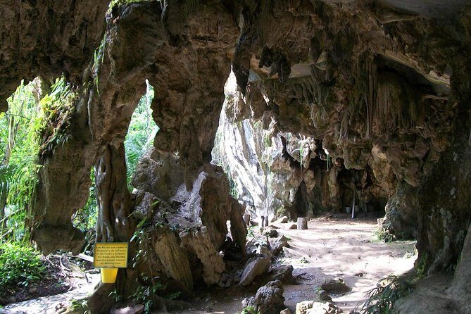 Rio Claro Jungle River Private Tour from Medellín - Hike, Swim, and Cave Areas Along the Riverbanks