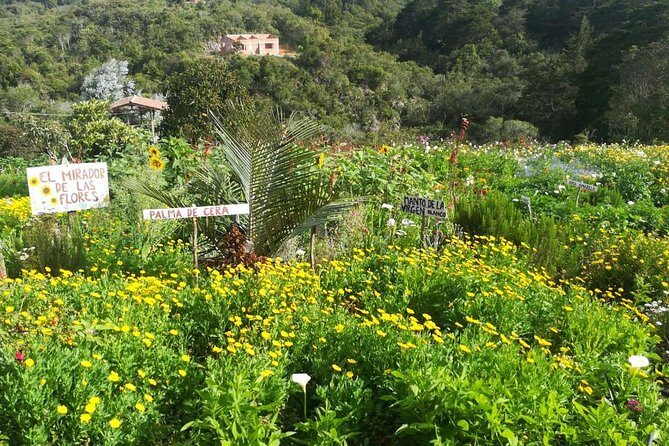 Santa Elena trip: Silleteros and Flower Farm Cultural Tour - Price and logistics: when $118.75 is a good deal (and when to question it)