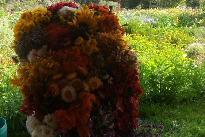 Santa Elena trip: Silleteros and Flower Farm Cultural Tour - The farm visit: meeting a real silletero and seeing how displays come to life