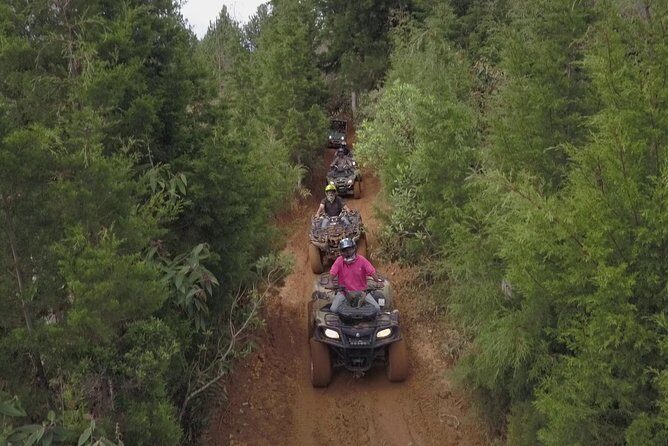 Stunning ATV 1.5hr + awesome PARAGLIDING over giant waterfalls from MEDELLIN - Price and Value: Is $299 Worth It?