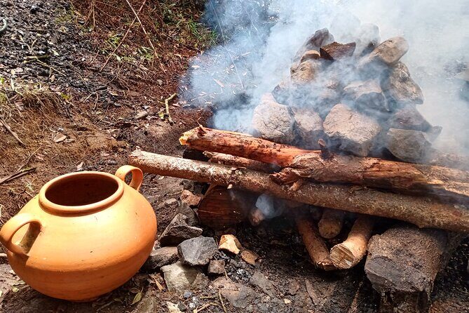 Therapeutic Temazcal: Harmony and Rebirth in the Forest - From Medellín pickup to the forest dome in Santa Elena