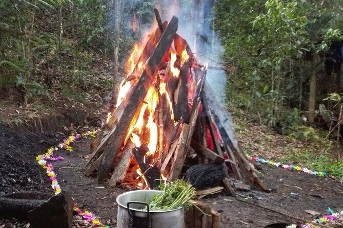Therapeutic Temazcal: Harmony and Rebirth in the Forest - Cleansing with medicinal plants: smudging and plant-infused water